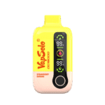Vaper Vapsolo DG18000 - Image 8